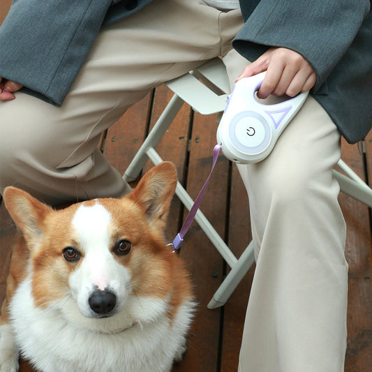 Retractable Dog Leash with Collar & Light – For Small & Medium Pets - Avail Market