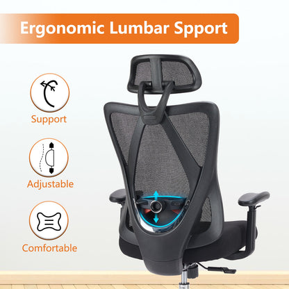 Ergonomic Office Chair - Avail Market