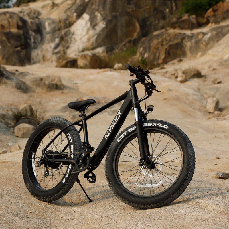 Professional Electric Bike for Adults, 26" x 4.0" Fat Tire, 1000W Motor, 48V 15Ah, UL & GCC Certified – Ideal for Trail Riding, Excursions, and Commuting.