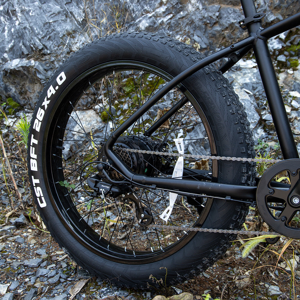 Professional Electric Bike for Adults, 26" x 4.0" Fat Tire, 1000W Motor, 48V 15Ah, UL & GCC Certified – Ideal for Trail Riding, Excursions, and Commuting.